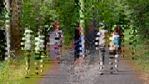 people walking and on bikes using traffic-free path lined with trees