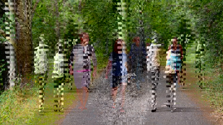people walking and on bikes using traffic-free path lined with trees