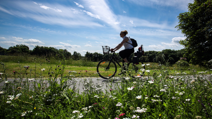 A woman cycling a dropped frame bike on a path with greenery on either side and blue skies above