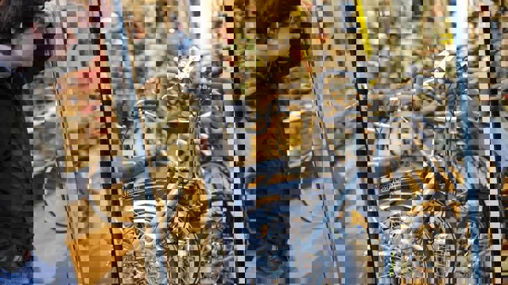 Man looking at Brompton bikes in shop window