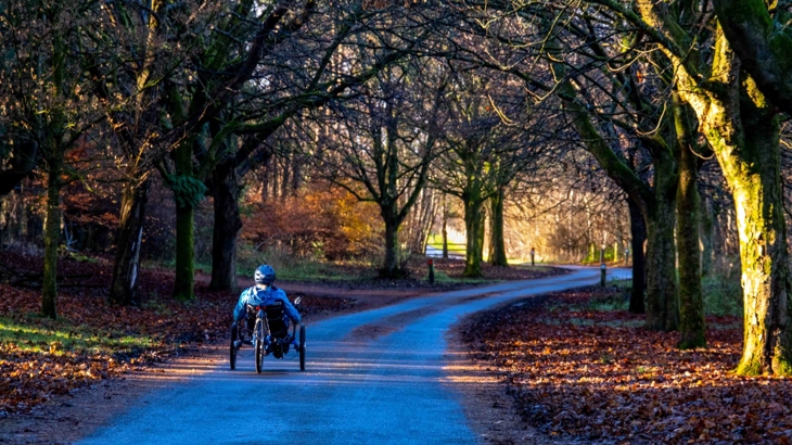 Cyclist on a recumbent bike travels through a forest in autumn. 