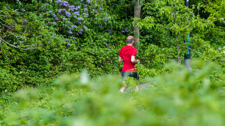 A man jogging on a traffic-free National Cycle Network route surrounded by luscious green grass and trees.