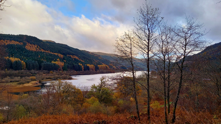 Landscape image of loch with tree-covered hillsides.