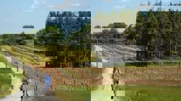 Family of cyclists on gravel track going past orchard