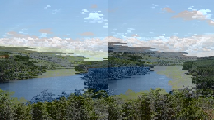 Reservoir surrounded by trees and green fields