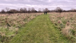 People walking proposed path alignment along western boundary of Fairlop Waters Country Park. 
