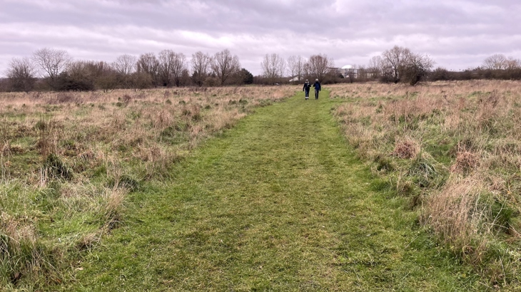 People walking proposed path alignment along western boundary of Fairlop Waters Country Park. 