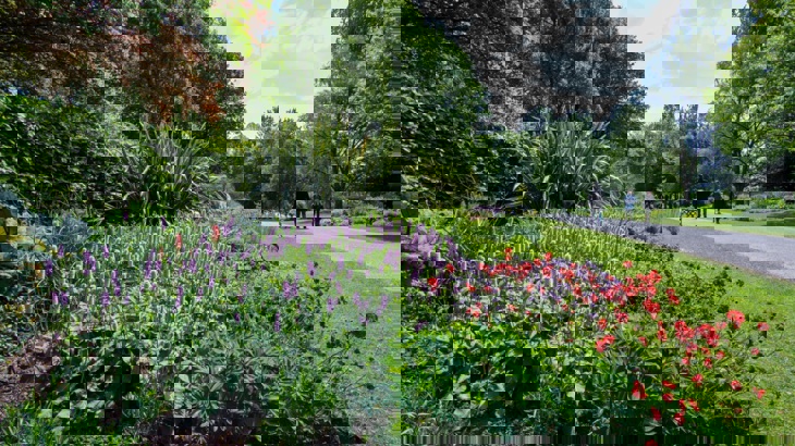 A flower bank in a park in Wales