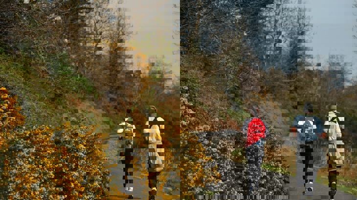 Two people jogging on asphalt path with trees and yellow gorse to the side