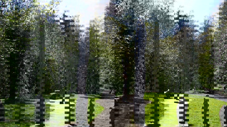 Upright wooden artworks shaped like dragonfly wings on path leading into woodland park