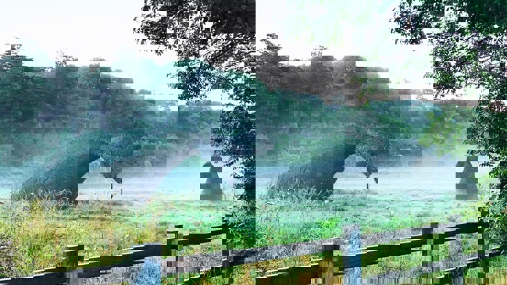 Two wicker sculptures shaped like a whale's tail and head standing in the middle of a field with fog and trees in the background