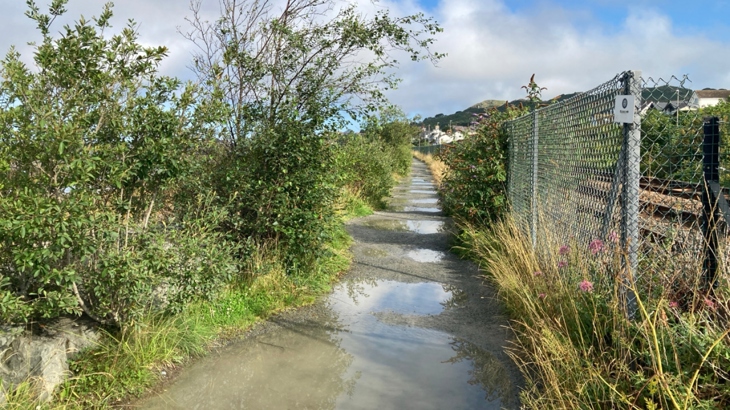 Waterlogged surface of NCN 5, a shared use path, in North Wales.