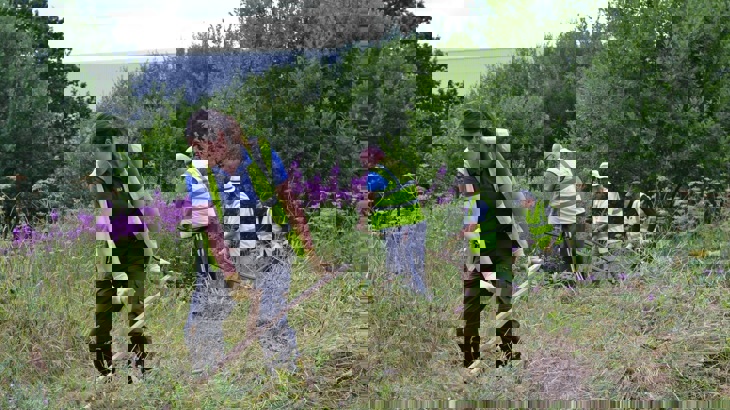 Walk Wheel Cycle Trust volunteers scythe a path