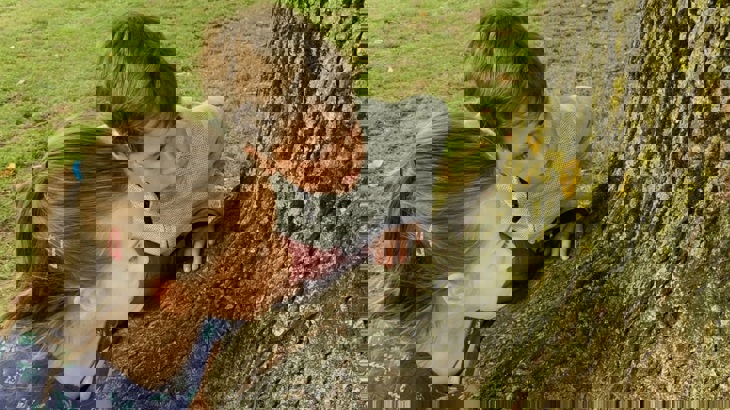 primary school children look at lichen on a tree