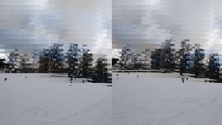 A snowy landscape with trees and people walking in the background
