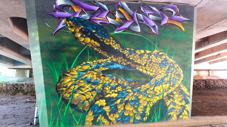 Vibrant artwork of a snake is painted on a tunnel at Almondbank