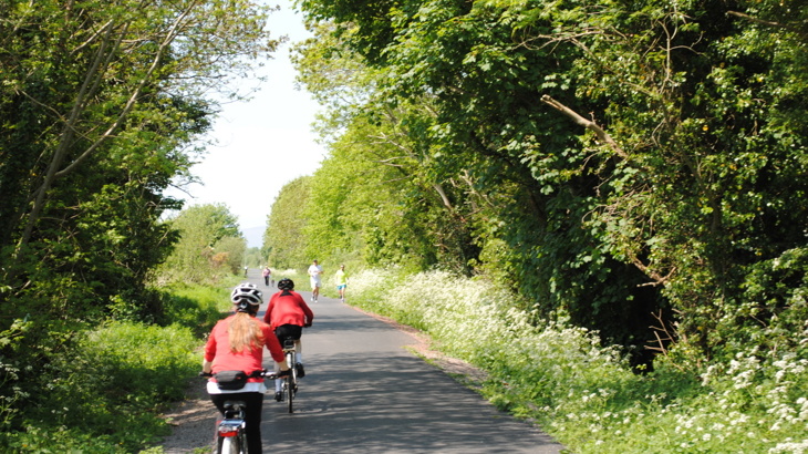 people walking, cycling and running on the comber greenway, a leafy shared use path in Northern Ireland