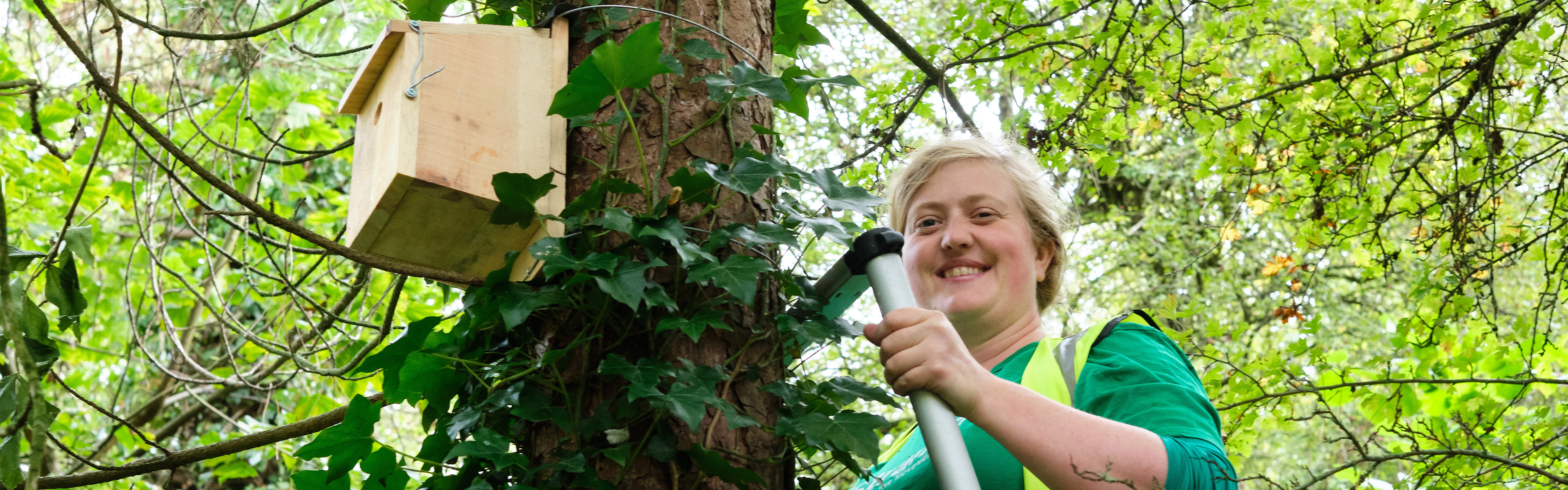 Walk Wheel Cycle Trust ecologist putting up bird box on the Network