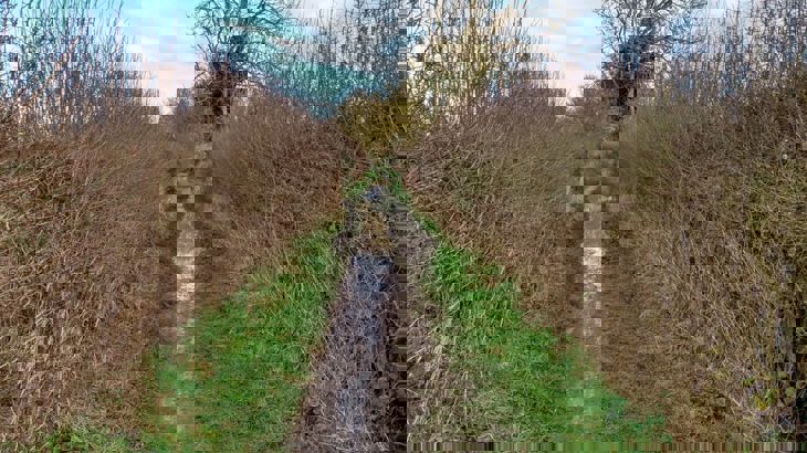 Long Wittenham bridleway before improvement works